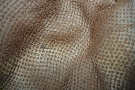 Промежуточный обзор военно-тактических перчаток P1G-Tac FFG Gloves P1G-Tac-Frogman-Field-Gloves-2016-Review-photo-10-436x291