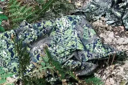 MAPA или BIGOS - новый камуфляж для Войск территориальной обороны Польши MAPA-Camo-2017-photo-5-436x291