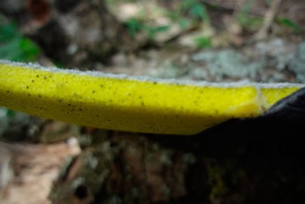 Первые впечатления от универсальных походных ботинок Salomon X Ultra Mid 2 GTX Salomon-X-Ultra-Mid-2-GTX-Review-2017-photo-16-436x291