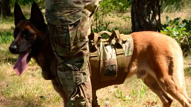 UTactic-Dog-Harness-2017-photo-1