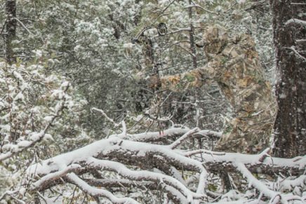 Realtree-Edge-Camo-2018-photo-3-436x291