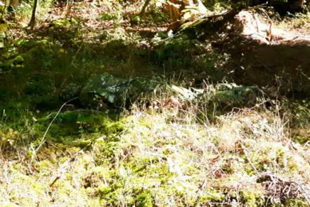 CONCAMO-Confusion-Camouflage-2018-photo-5-436x291