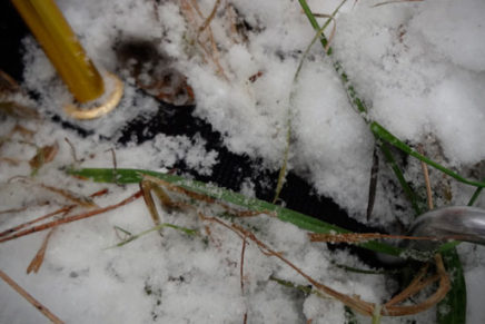 Fjord-Nansen-Veig-2-Tent-Review-2018-photo-15-436x291