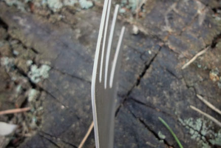 Первые впечатления от универсальной походной вилки-ложки FURA Titanium ForkSpoon FURA-Gear-Titanium-ForkSpoon-Review-2018-photo-6-436x291