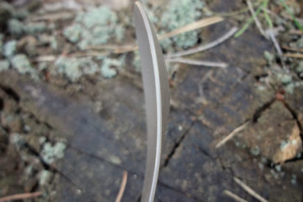 Первые впечатления от универсальной походной вилки-ложки FURA Titanium ForkSpoon FURA-Gear-Titanium-ForkSpoon-Review-2018-photo-9-436x291