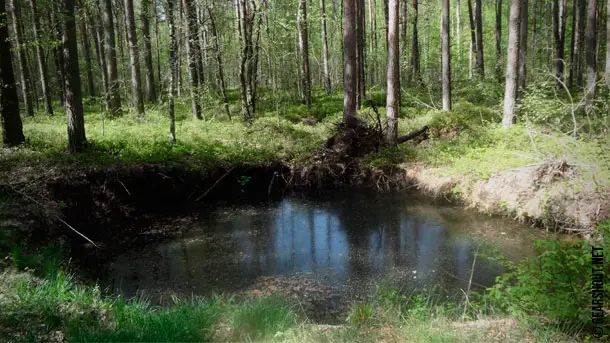 Drinking-unpurified-backcountry-water-2018-photo-1