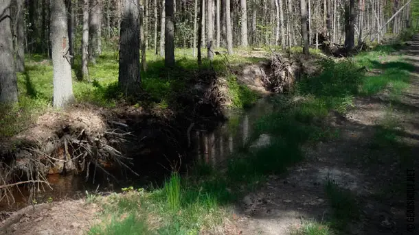 Drinking-unpurified-backcountry-water-2018-photo-4