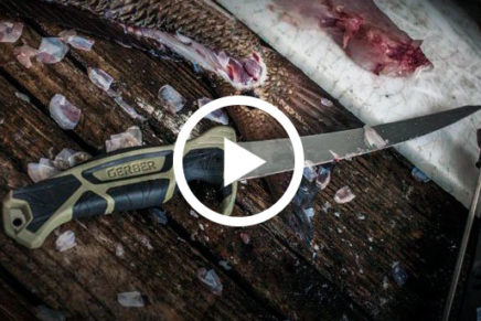 Gerber-Controller-Fillet-Knife-Video-2018-photo-1