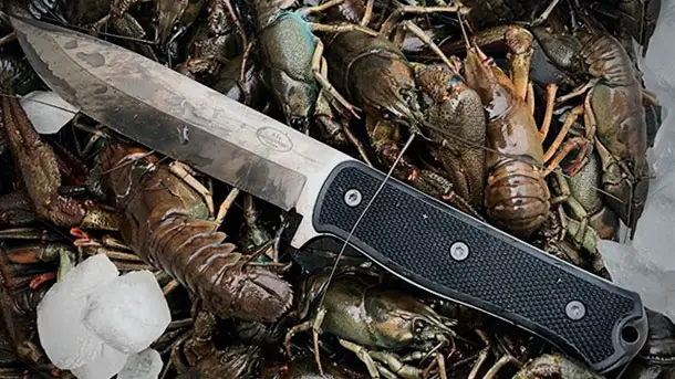 Fällkniven-X-Knife-Fixed-Blade-Knife-2019-photo-7