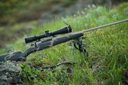 Weatherby расширила коллекцию винтовок Mark V двумя линейками - Mark V Backcountry и Mark V Carbonmark