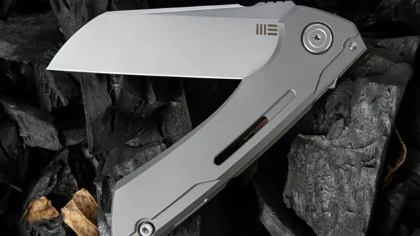 We Knife Co. анонсировал новую линейку складных карманных ножей Mini Buster 2003 We-Knife-Co-Mini-Buster-2003-EDC-Folding-Knife-2020-photo-2