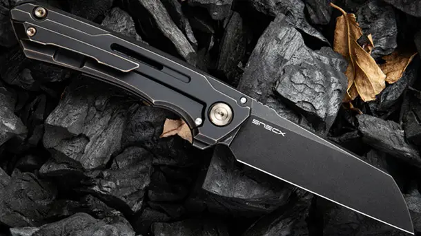 We Knife Co. анонсировал новую линейку складных карманных ножей Mini Buster 2003 We-Knife-Co-Mini-Buster-2003-EDC-Folding-Knife-2020-photo-5