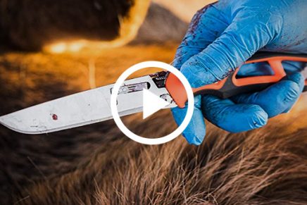 Gerber-Randy-Newberg-EBS-Video-2020-photo-1