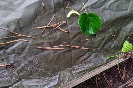 Первые впечатления от универсальной палатки OneTigris Backwoods Bungalow Shelter OneTigris-Backwoods-Bungalow-UL-Super-Shelter-2-Review-2020-photo-17-436x291