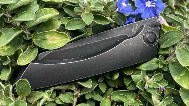 Kizer-Cutlery-M_Stealth-Ki3564-EDC-Folding-Knife-2020-photo-1