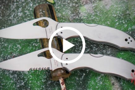 Spyderco-Byrd-Harrier-2-Stainless-Video-2020-photo-1