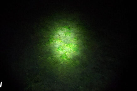 Первые впечатления от универсального светодиодного фонаря Nitecore MH12S Nitecore-MH12S-LED-Flashlight-Review-2020-photo-17-436x291