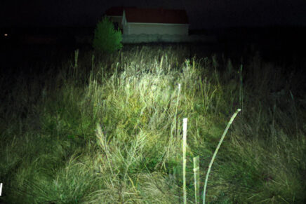 Первые впечатления от универсального светодиодного фонаря Nitecore MH12S Nitecore-MH12S-LED-Flashlight-Review-2020-photo-19-436x291