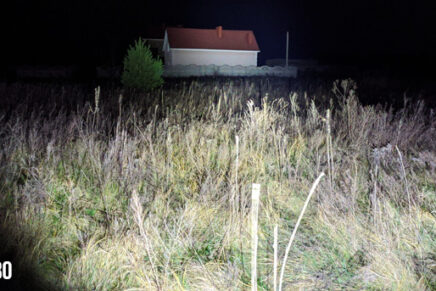 Первые впечатления от универсального светодиодного фонаря Nitecore MH12S Nitecore-MH12S-LED-Flashlight-Review-2020-photo-22-436x291