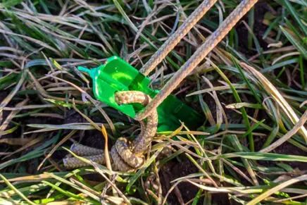 Первые впечатления от кемпинговой палатки OneTigris Outback Retreat Camping Tent OneTigris-Outback-Retreat-Camping-Tent-Review-2020-photo-11-436x291