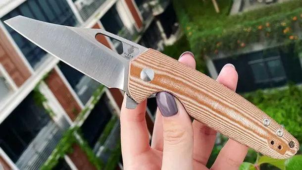 Kizer-Cutlery-Horn-EDC-Folding-Knife-202