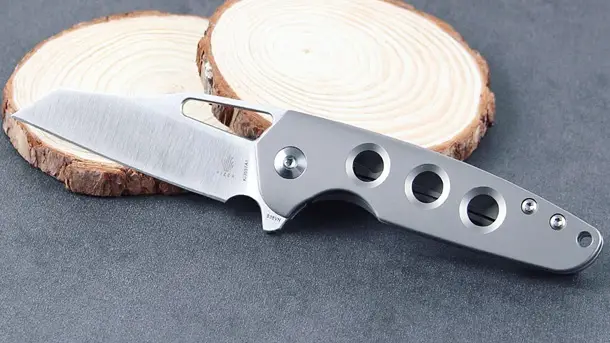Kizer-Cutlery-Horn-EDC-Folding-Knife-2021-photo-2
