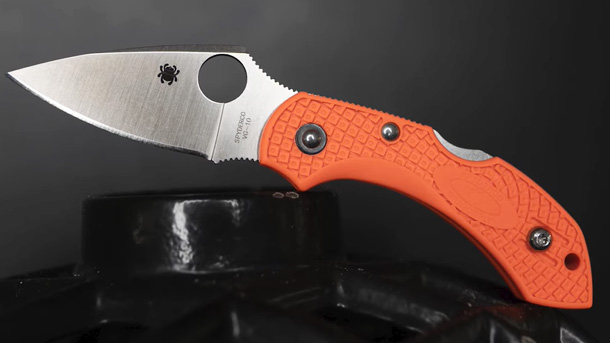 Spyderco-Dragonfly-Fodling-Knife-History-Video-2021-photo-3