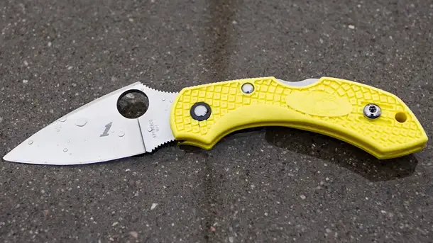 Spyderco-Dragonfly-Fodling-Knife-History-Video-2021-photo-4