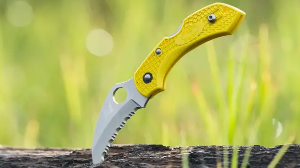 Spyderco-Dragonfly-Fodling-Knife-History-Video-2021-photo-5