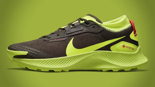Nike-Pegasus-Trail-3-Gore-Tex-Runing-Shoes-2021-photo-1