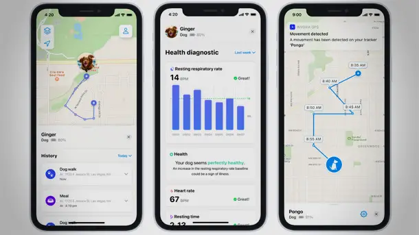 Invoxia представил инновационный смарт-ошейник для собак Smart Dog Collar Invoxia-Smart-Dog-Collar-2022-photo-2