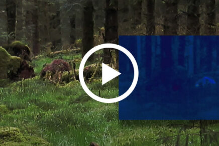 ProApto-Predator-Thermal-Camouflage-Video-2022-photo-1
