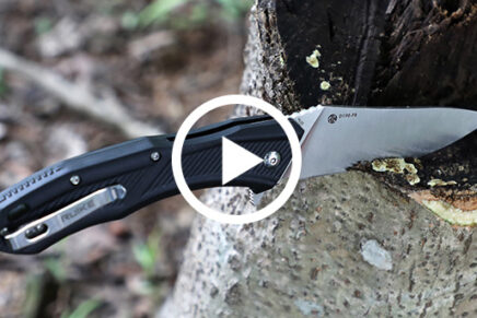 RUIKE-D198-PB-EDC-Folding-Knife-Video-2022-photo-1