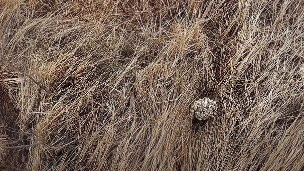 First-Lite-Typha-Waterfowl-Camouflage-Video-2022-photo-2