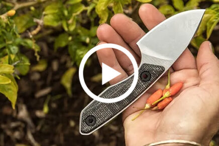 Gerber-Stowe-EDC-Fixed-Blade-Knife-Video-2022-photo-1